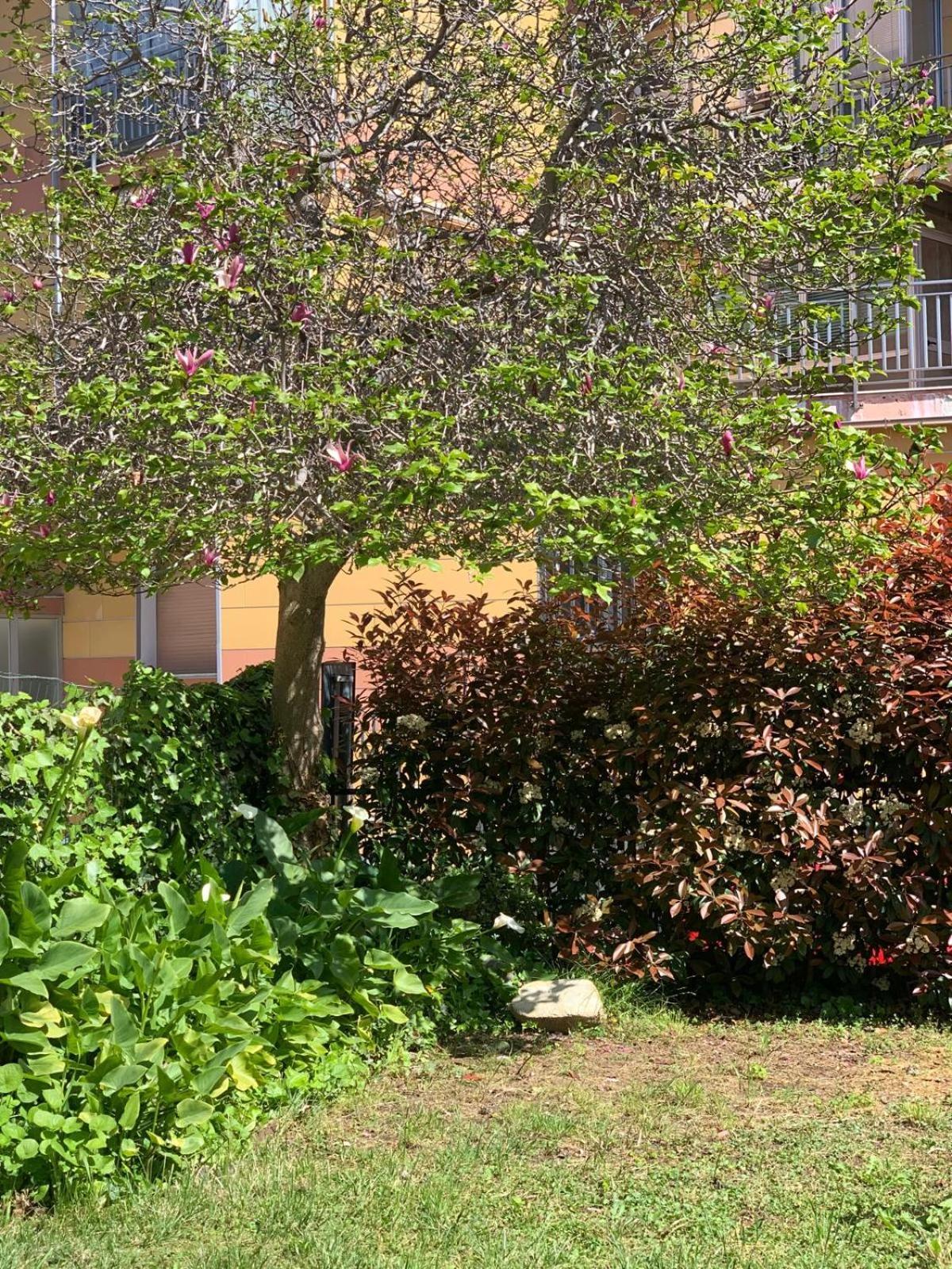 B&B La Magnolia Savona Eksteriør bilde